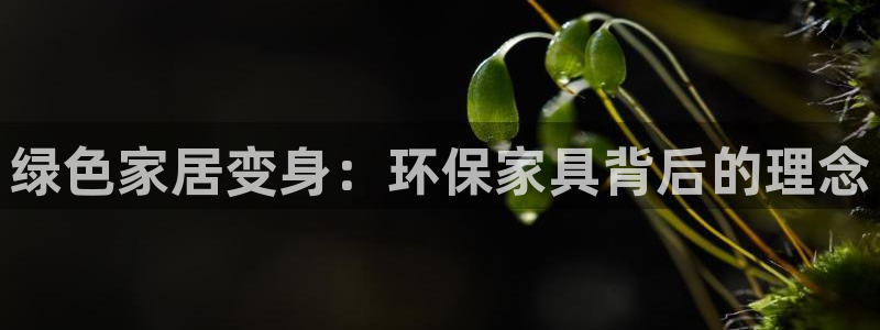 杏耀官网app
