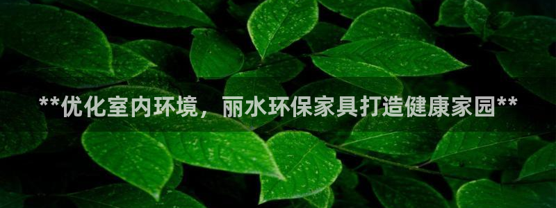 杏耀代理日工资多少