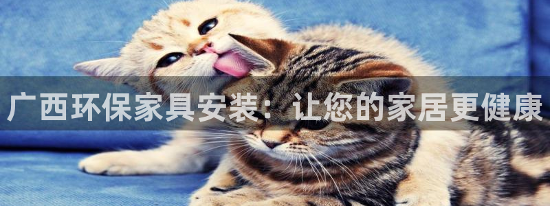 杏耀登陆电脑线路测速