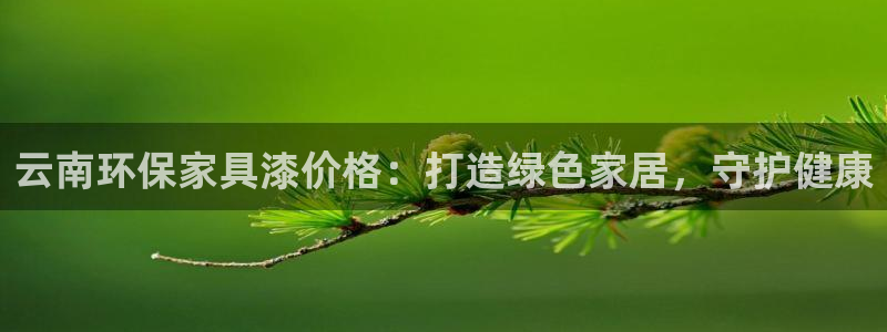 杏耀代理日工资多少