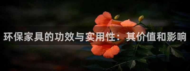 杏耀注册中心：环保家具的功效与实用性：其价值和影响
