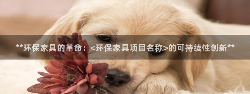 杏耀平台官方登陆：**环保家具的革命：<环保家具项目名称>的