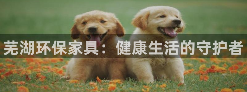 杏耀平台客户端：芜湖环保家具：健康生活的守护者