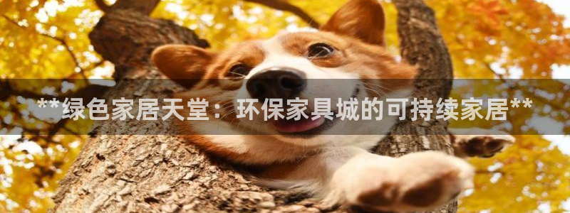 杏耀平台注册流程：**绿色家居天堂：环保家具城的可持续家居*