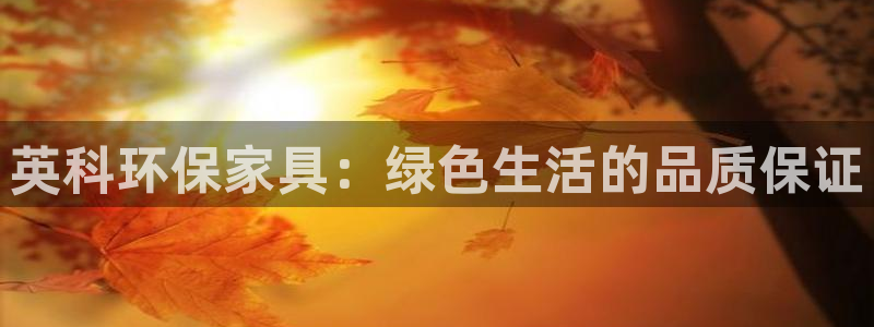 杏耀平台首页：英科环保家具：绿色生活的品质保证