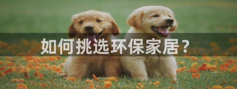 杏耀手机客户端：如何挑选环保家居？