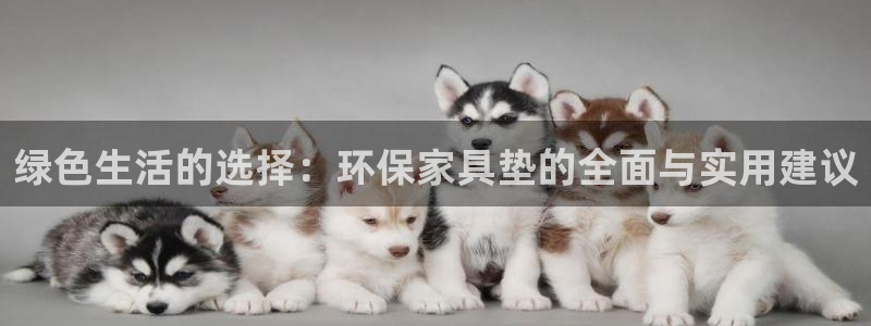 杏耀登入测速：绿色生活的选择：环保家具垫的全面与实用建议