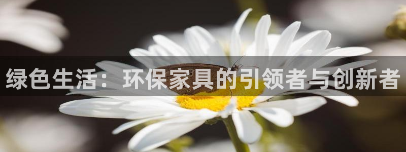 杏耀主管qq：绿色生活：环保家具的引领者与创新者