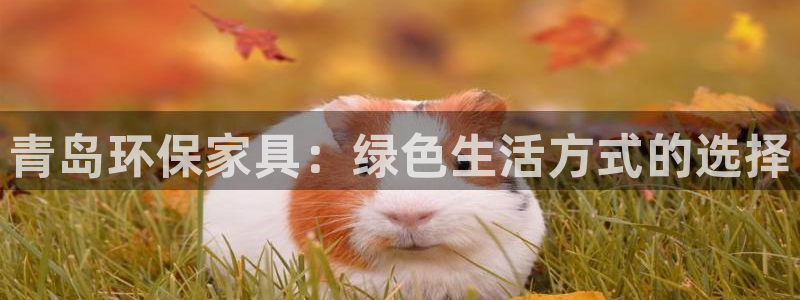 杏耀平台待遇：青岛环保家具：绿色生活方式的选择