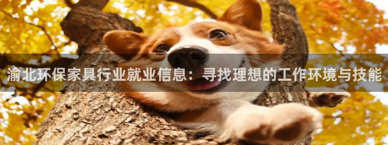 杏耀代理注册开户：渝北环保家具行业就业信息：寻找理想的工作环