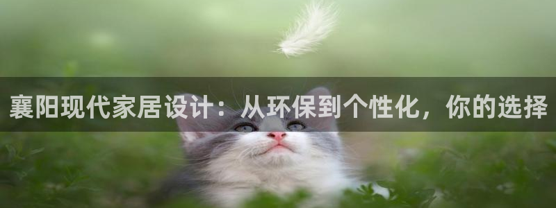 杏耀平台代理登录网址是多少：襄阳现代家居设计：从环保到个性化