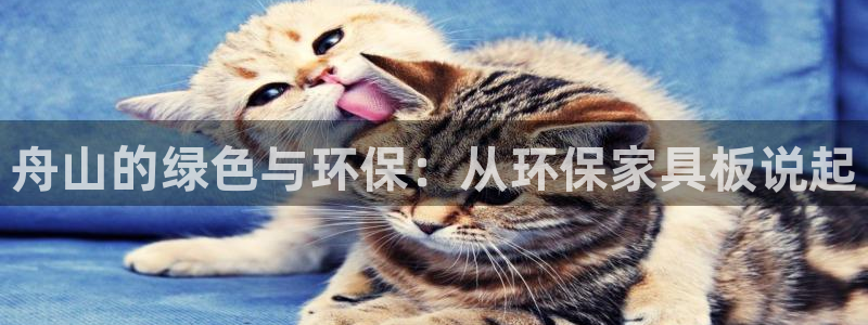 杏耀app怎样申请：舟山的绿色与环保：从环保家具板说起