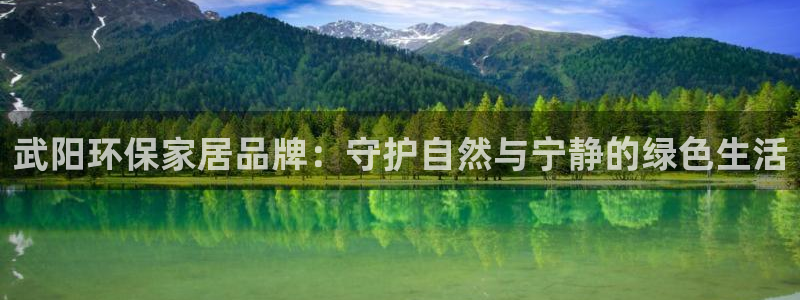 杏耀平台登录检测：武阳环保家居品牌：守护自然与宁静的绿色生活