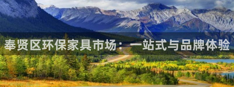 杏耀平台在哪里：奉贤区环保家具市场：一站式与品牌体验