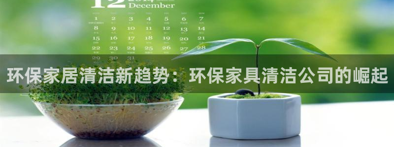 杏耀平台注册：环保家居清洁新趋势：环保家具清洁公司的崛起