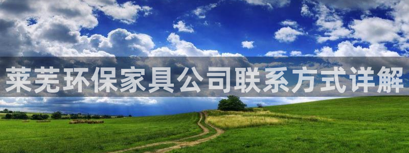 杏耀登陆测速：莱芜环保家具公司联系方式详解