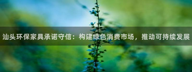 杏耀登陆线路：汕头环保家具承诺守信：构建绿色消费市场，推动可