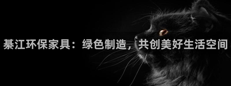 杏耀软件：綦江环保家具：绿色制造，共创美好生活空间