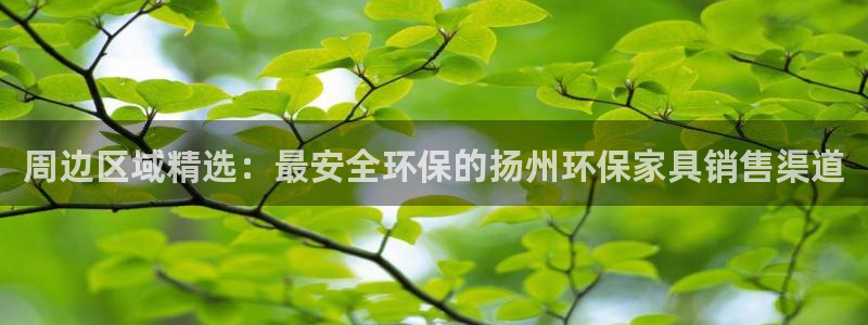 杏耀测速注册：周边区域精选：最安全环保的扬州环保家具销售渠道