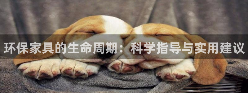 杏耀平台登录网址：环保家具的生命周期：科学指导与实用建议