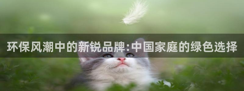 杏耀平台几年了：环保风潮中的新锐品牌:中国家庭的绿色选择