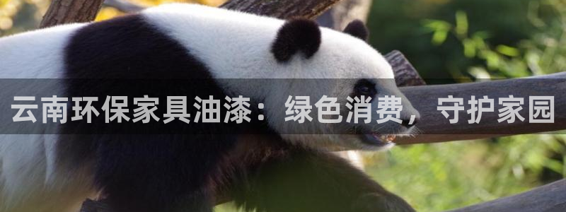 杏耀登陆网站