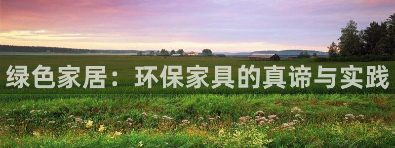 杏耀线路5检测：绿色家居：环保家具的真谛与实践