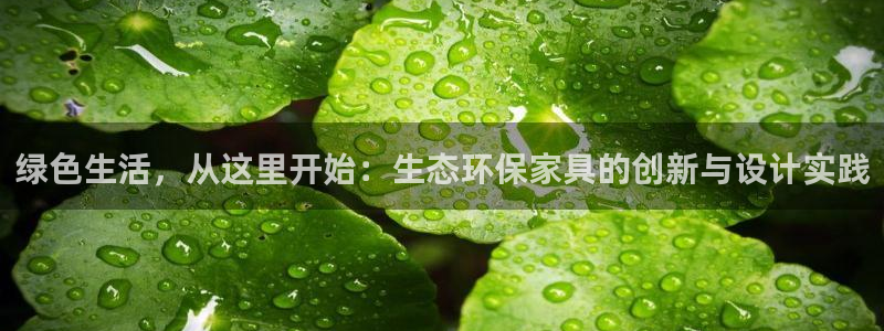杏耀平台线路测速登录：绿色生活，从这里开始：生态环保家具的创