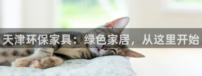 杏耀平台地址：天津环保家具：绿色家居，从这里开始