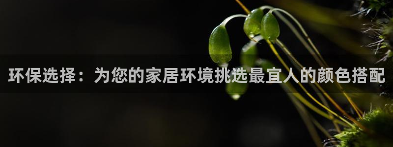 杏耀平台登录：环保选择：为您的家居环境挑选最宜人的颜色搭配