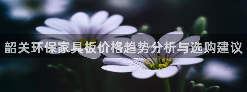 杏耀平台官方网站：韶关环保家具板价格趋势分析与选购建议