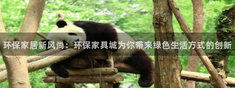 杏耀软件：环保家居新风尚：环保家具城为你带来绿色生活方式的创